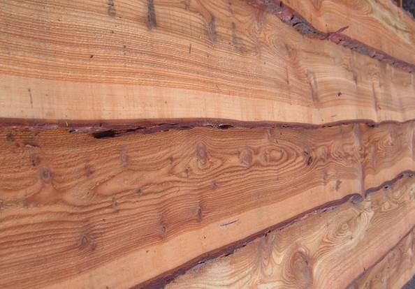 Larch cladding 013 cropped